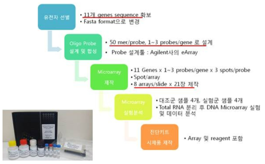 cDNA customized chip prucedure