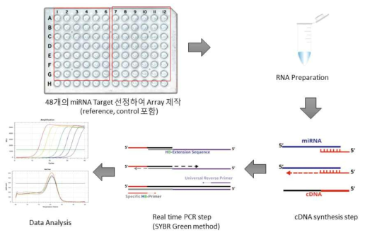 miRNA Custom Real time PCR Array kit 제작