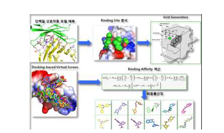 Ligand-Protein Docking Tool