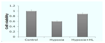 장수풍뎅이 혈림프의 hypoxia 억제 효과