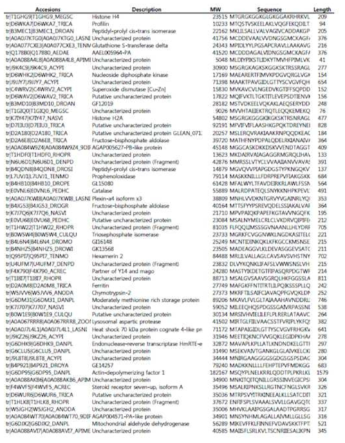 흰점박이꽃무지 혈림프 단백질 분석결과(270여 개) 일부