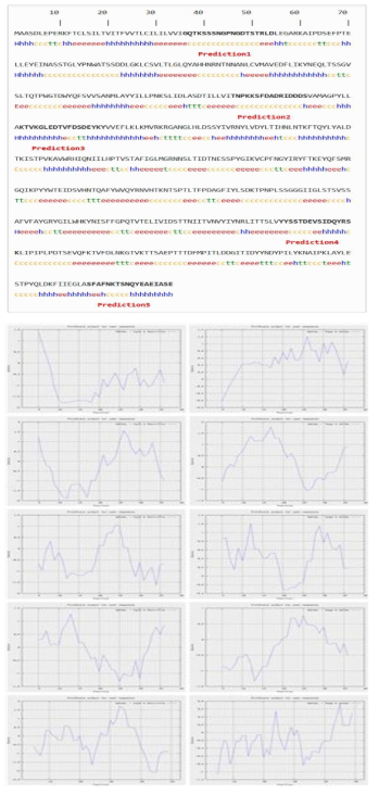 누디바이러스 항체제작을 위한 odv-e66 펩타이드 서열 및 항원성