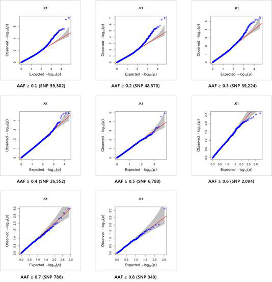 AAF값에 따른 –log10 (P-value) 비교 분석(K1 레이스)