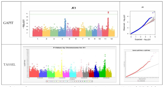 K1의 Manhattan plots (MLM)과 Quantile-Quantile plots (Q-Q) 연관분석결과