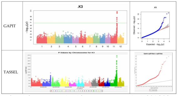 K3의 Manhattan plots (MLM)과 Quantile-Quantile plots (Q-Q) 연관분석결과