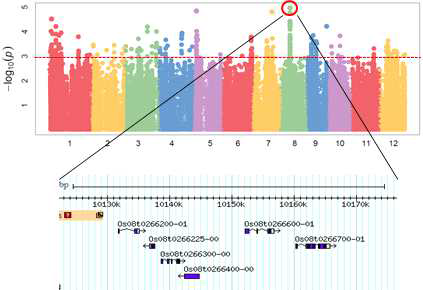 저온발아율 관련 Manhattan plot(상) 및 후보 QTL 지역 유전자 분포