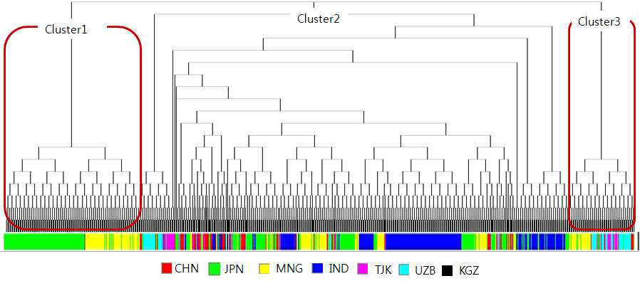 아시아 자원대상 원산지별 Glu-1 loci의 각 allele조합을 바탕으로 한 군집분석