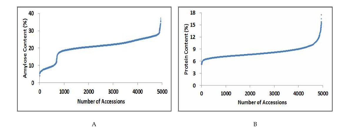 Distribution of amylose (A) and protein (B) content in the rice landrace germplasm using NIRS