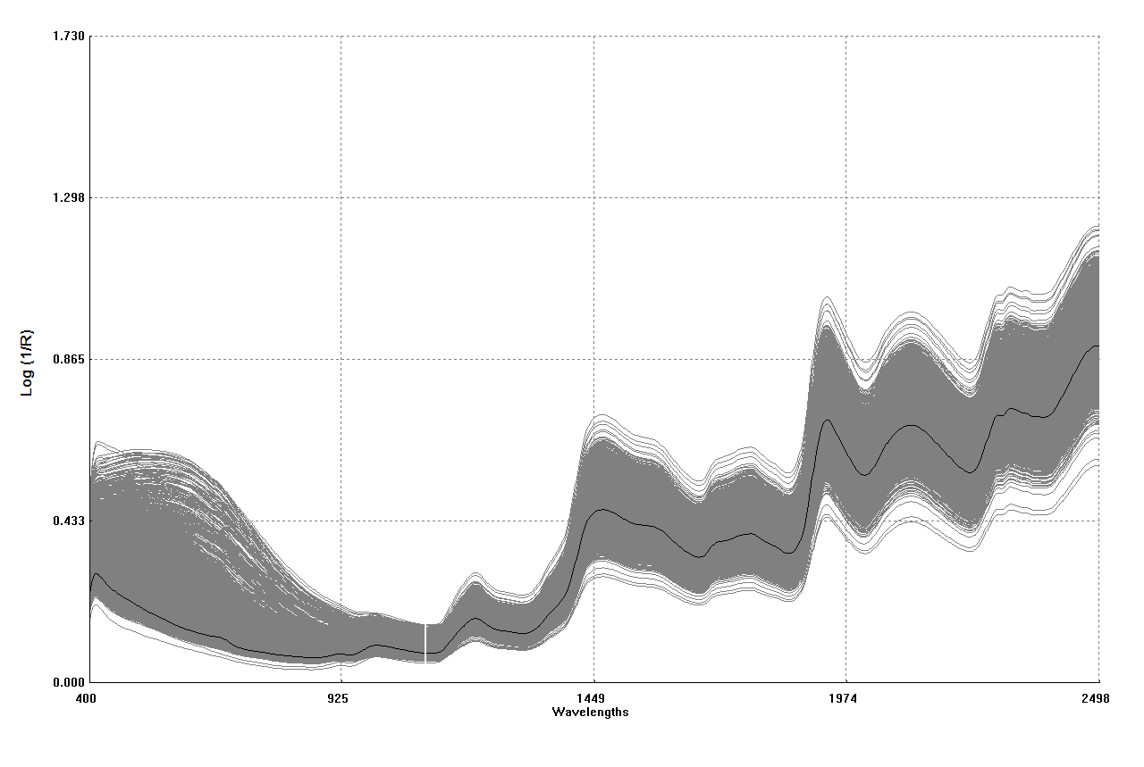 The NIR spectra from rice variety germplasm using NIRS in condition of the milled brown rice