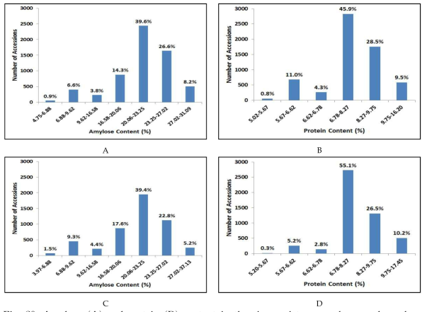 Amylose (A) and protein (B) content in the rice variety germplasm and amylose (C) and protein (D) content in the rice landrace germplasm by NIRS