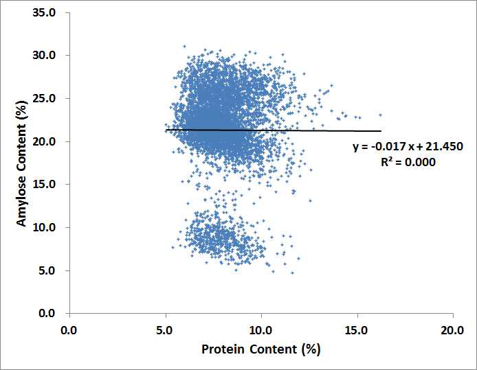 Coefficient of determination (R2=0.000) between amylose and protein contents in rice variety germplasm by NIRS