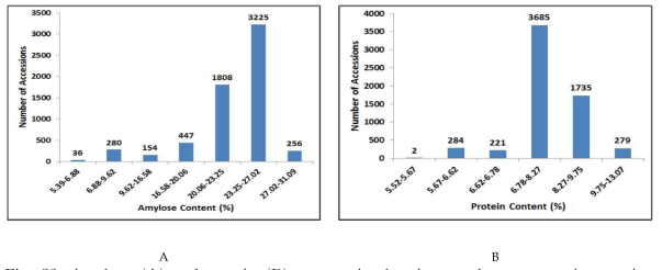 Amylose (A) and protein (B) content in the rice weed type germplasm using NIRS