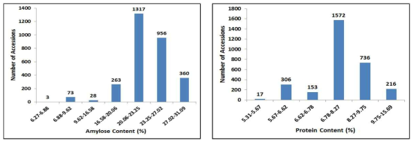 Amylose (A) and protein (B) content in the rice breeding line germplasm using NIRS