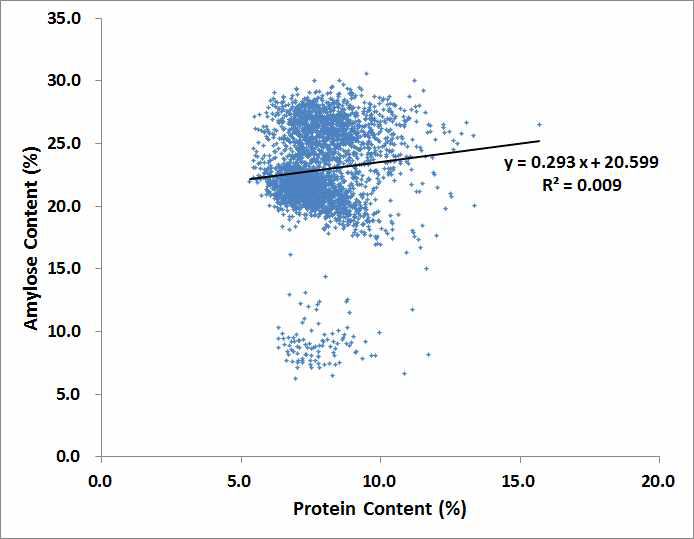 Coefficient of determination (R2=0.009) between amylose and protein contents in rice breeding line germplasm by NIRS