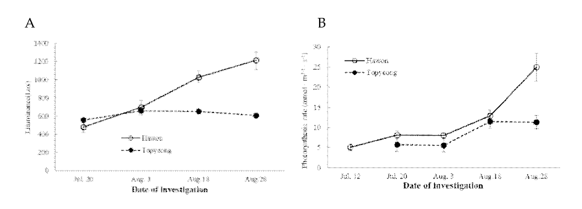 망고 재배 하원농가와 토평농가 온실사이의 광도(A) 와 광합성 속도 (B)의 비교