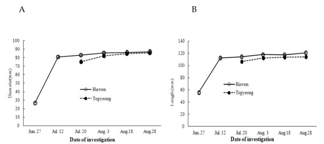 하원농가과 토평농가 온실의 과실크기의 변화, 직경 (A), 길이 (B)