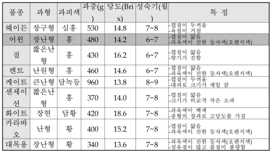 망고 품종의 종류 및 특성