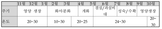 가고시마현 7~8월출하 가온재배주기