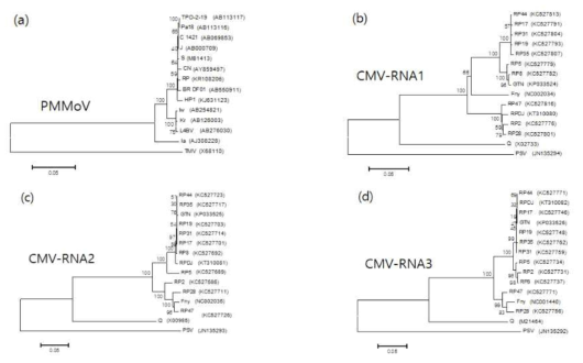 속속이풀에서 분리한 PMMoV-RP(a)와 CMV-RPDJ(b∼d) 전체염기서열의 유연관계 분석