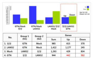 LAM32에 특이적인 CMV-GTN 저항성 유전자 선발