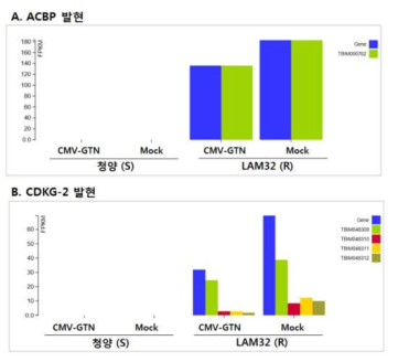 LAM32의 저항성 관련 유전자의 발현 양상 비교