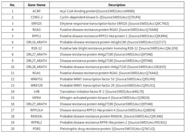 CMV-GTN에 특이적으로 발현되는 LAM32고추의 저항성 관련 유전자들