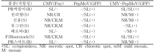 CMV 및 PepMoV 단독 및 복합 감염에 따른 고추품종의 반응