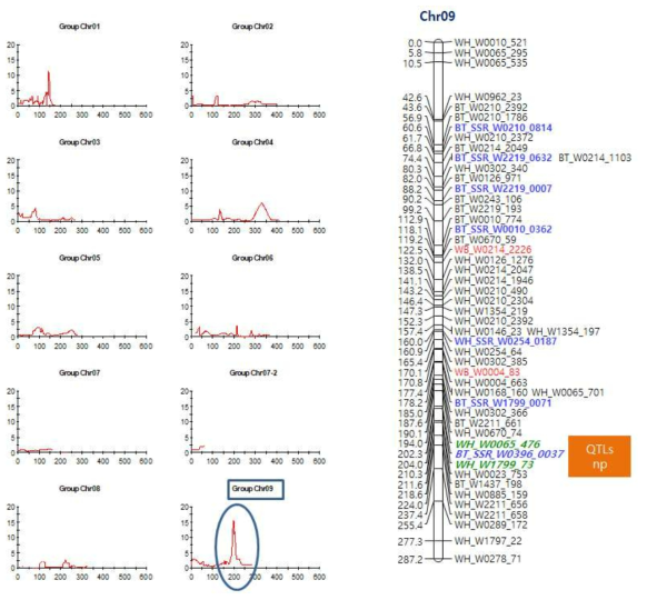 Chr9에서 분석된 꽃잎 수 QTL