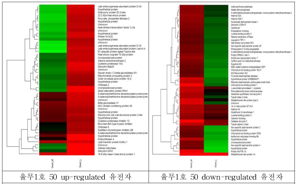 율무1호 top 50 DEGs 목록