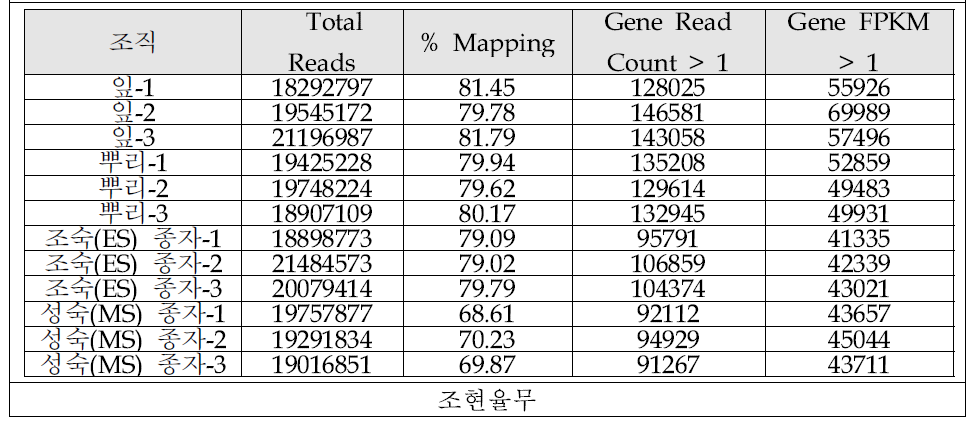 조현율무 조직별 발현 프로파일 mapping 정보