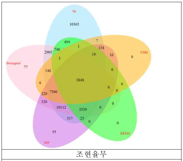 조현율무 unigenes 주석달기