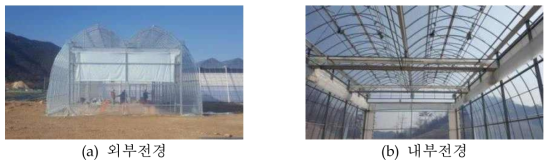 알루미늄스크린 다지붕 연동 실험온실(폭 8m×길이 18m×동고 7.1m)