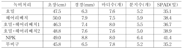 호밀과 헤어리베치 녹비재배에 따른 콩의 초기생육 비교(7.14, 정식 28일차)