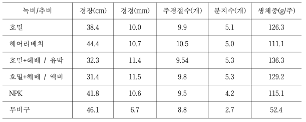 녹비활용 유기물 추비에 따른 무경운 유기재배 콩의 생육 비교(9월 8일 조사)