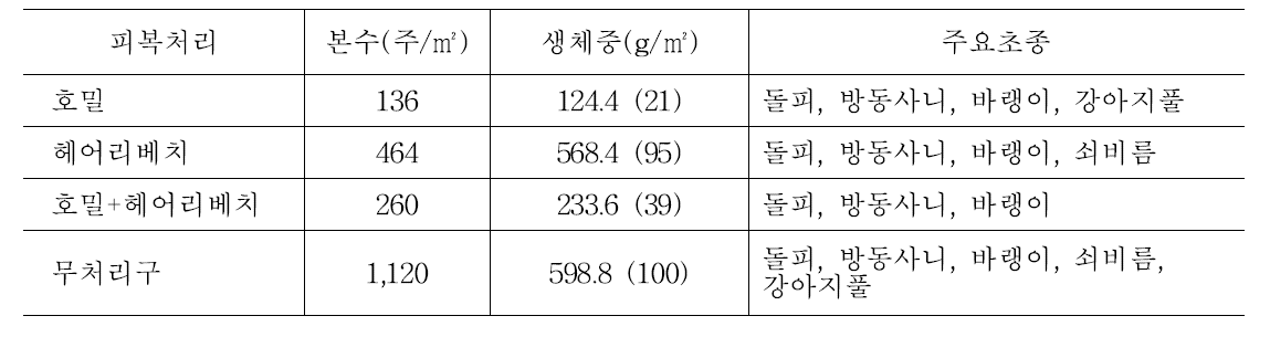 피복작물 처리 후 콩 무경운 포장의 잡초발생(7월 14일, 정식 한 달)