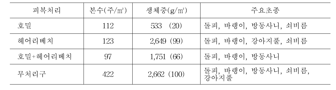 피복작물 처리 후 콩 무경운 포장의 잡초발생(8월 14일, 정식 두 달)