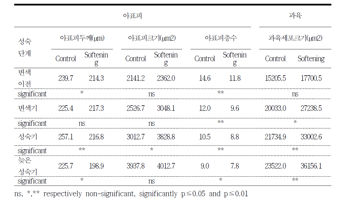 무름증상 유기를 위해 과방중을 크게한 과실(750g 이상)과 평균 과방중(500g)을 유지한 과실의 생육단계별 과립의 형태적 특성