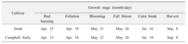 포도 ‘진옥’과 ‘캠벨얼리’의 주요 생육 시기 비교
