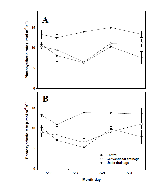 2017년 장마기 배수처리별 포도 ‘진옥’(A)과 ‘캠벨얼리’(B)의 광합성속도 변화
