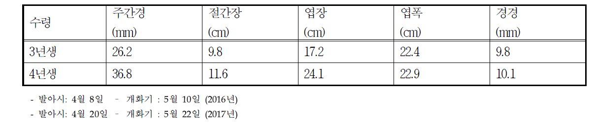 시설내 무핵재배시 포도 흑보석 품종의 생육특성(6월)