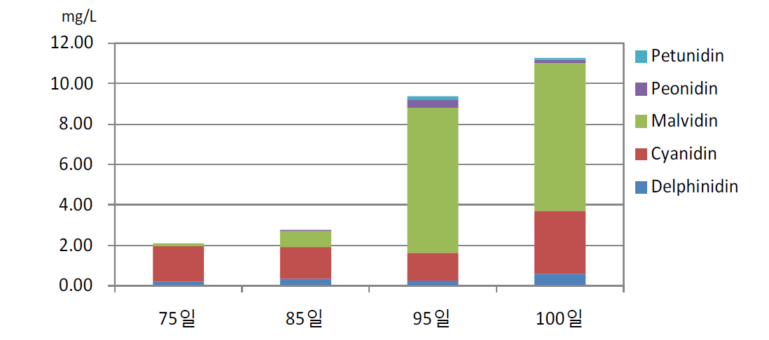 흑보석 품종의 개화 후 생육일수에 따른 과방경 부위 주변부의 안토시아닌 함량 변화