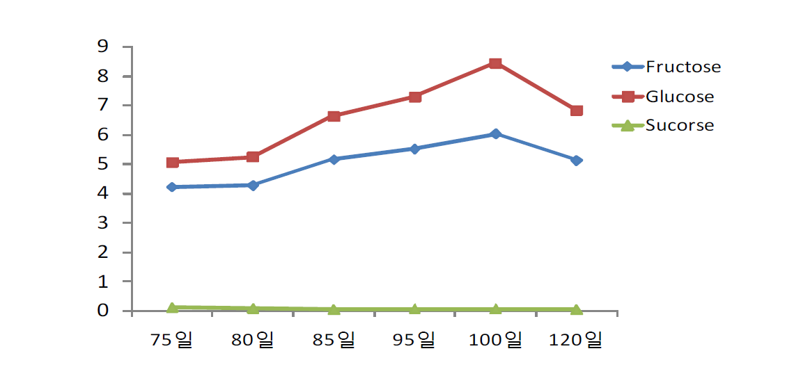 포도 흑보석 품종의 개화 후 생육일수에 따른 당성분 변화