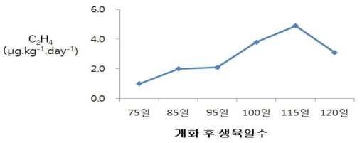 흑보석 품종의 개화 후 생육일수에 따른 과실 에틸렌 발생량