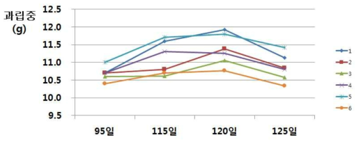 흑보석 품종의 착과량에 따른 과립중의 변화