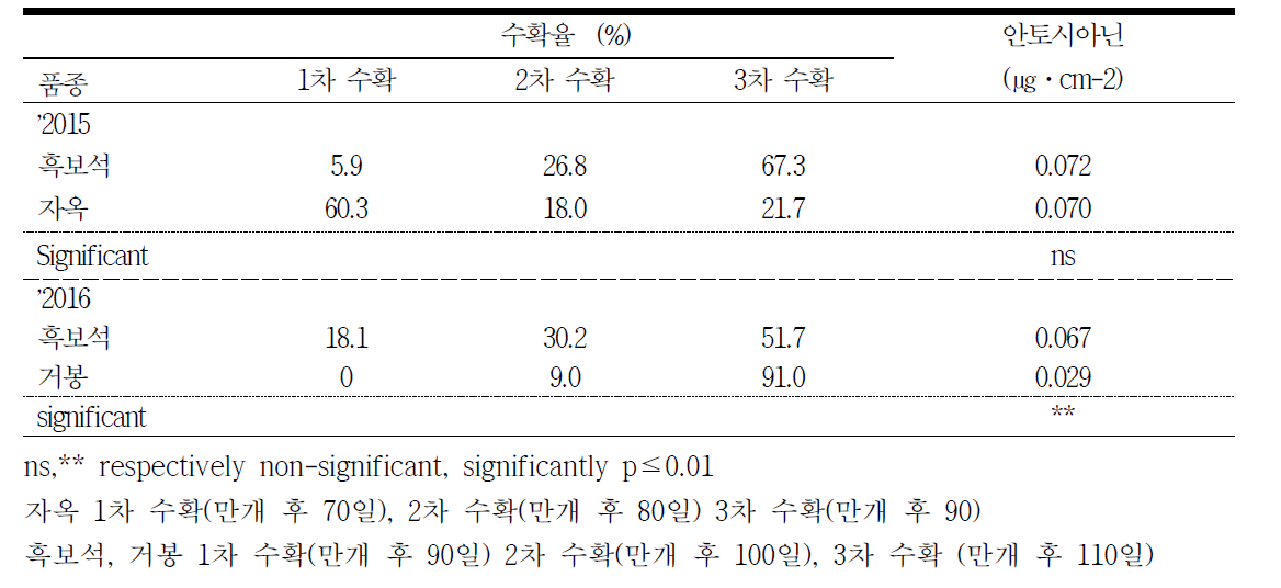 품종에 따른 수확율 및 총안토시아닌 함량