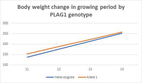 Effect of PLAG1 Genotype on Body Weight gain During Growing Stage of Hanwoo Steers