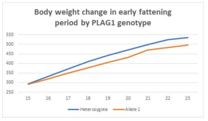 Effect of PLAG1 Genotype on Body Weight Gain During Early Fattening Stage of Hanwoo Steers