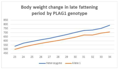 Effect of PLAG1 Genotype on Body Weight Gain During Late Fattening Stage of Hanwoo Steers