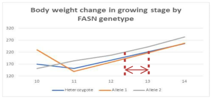 Effect of FASN1 Genotype on Body Weight gain During Growing Stage of Hanwoo Steers