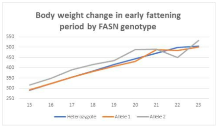 Effect of FASN1 Genotype on Body Weight Gain During Early Fattening Stage of Hanwoo Steers